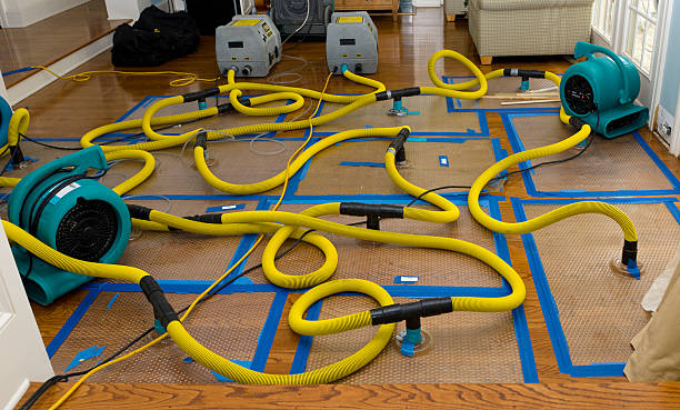 Professional Crawl Space Water Removal technician working in Buxton, OR